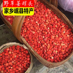 甘肃岷县特产水果罐头岷县野草莓罐头当地有岷县特色美食点心大豆