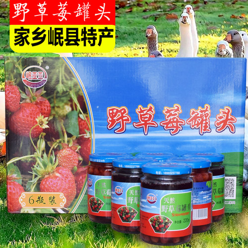 甘肃岷县野草莓罐头岷县特产水果罐头当地有岷县特色美食点心大豆