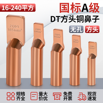 国标方头无孔直板铜鼻子线鼻子支线箱设备线夹线耳ZQDT16-240平方