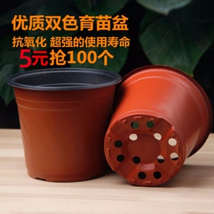 优质双色盆育苗盆一次性花卉育苗专用盆塑料扦插盆营养钵特价清仓