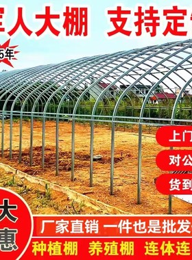椭圆管养殖大棚全套种植香菇