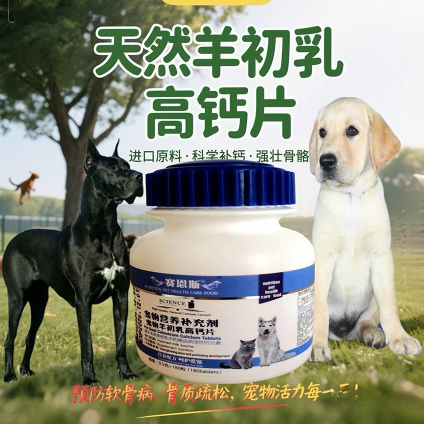 大丹狗钙片立耳钙粉犬趴蹄塌腰瘸腿不长牙齿松动骨折动物吃营养品