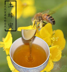 阿坝汶川纯正天然农家自产百花蜂蜜土蜂蜜正宗无添加深山原蜜花蜜
