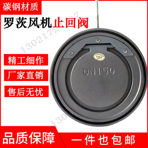 罗茨鼓风机碳钢止回阀翻板式