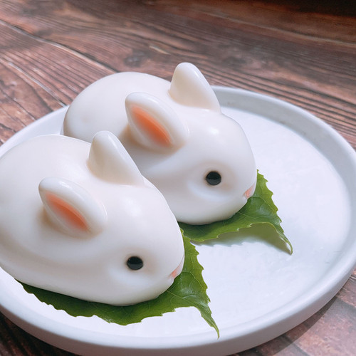 网红冰皮兔子果冻布丁月饼模具