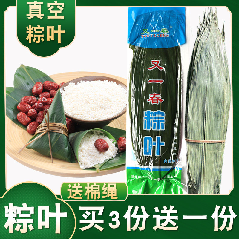 新鲜粽子叶包粽子的叶子 棕叶大粽子 农家种叶新鲜大片大号送棉线