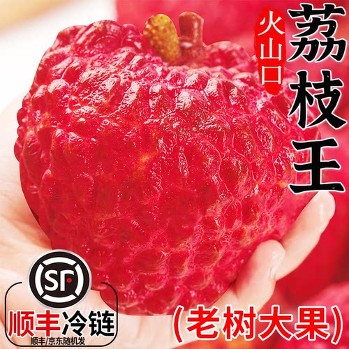 【顺丰送上门】特大果王荔枝王
