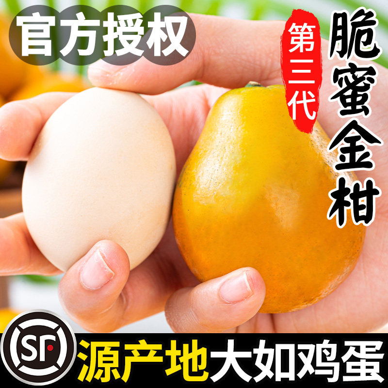 顺丰广西融安脆蜜金柑第三代金桔新鲜水果独立礼盒包装官方旗舰店