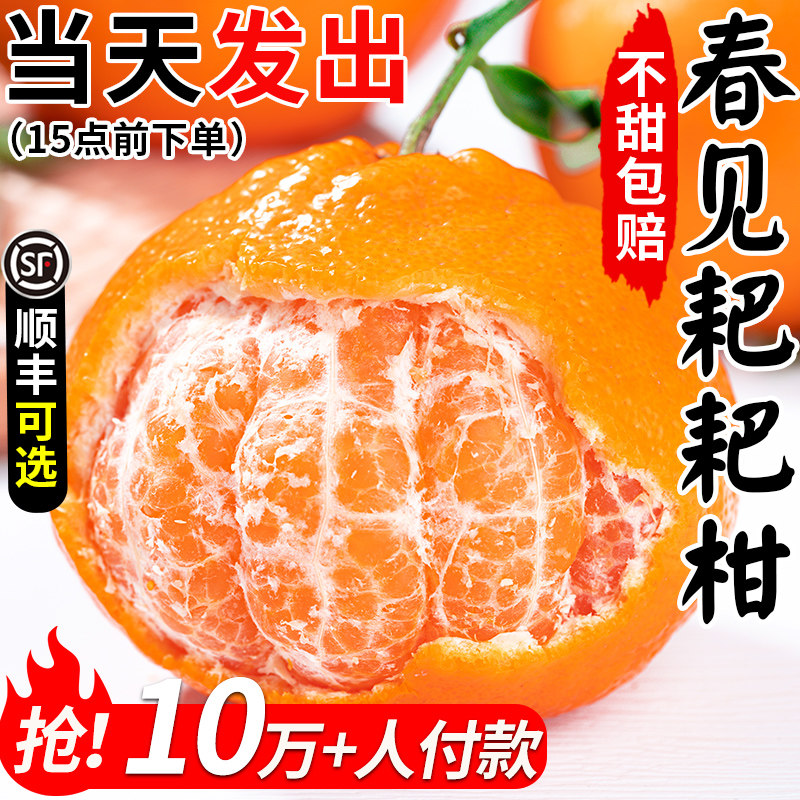 四川春见耙耙柑新鲜水果当季整箱正宗粑粑柑杷杷柑丑桔橘子旗舰店