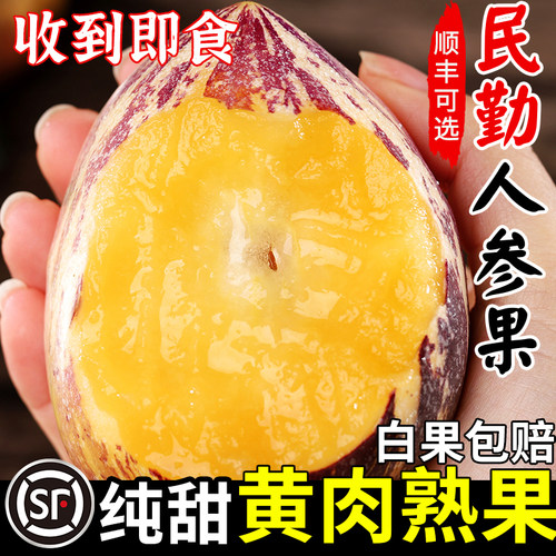正宗黄肉民勤人参果收到即食