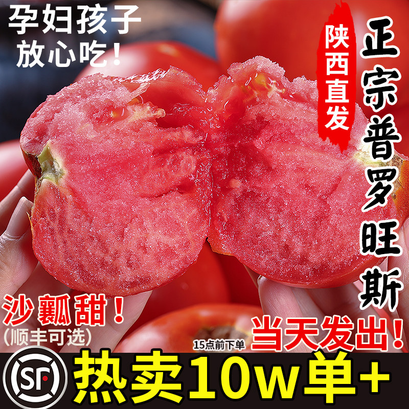 陜西涇陽普羅旺斯沙瓤西紅柿新鮮自然熟當季孕婦水果生吃番茄蔬菜
