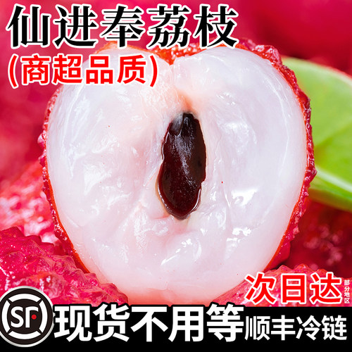热销爆款荔枝中精品现摘仙进奉