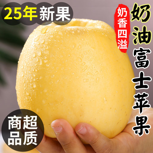 【山东直发】黄金奶油富士苹果！