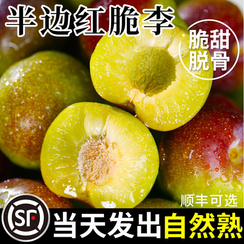 【当天速发】四川半边红脱骨脆李