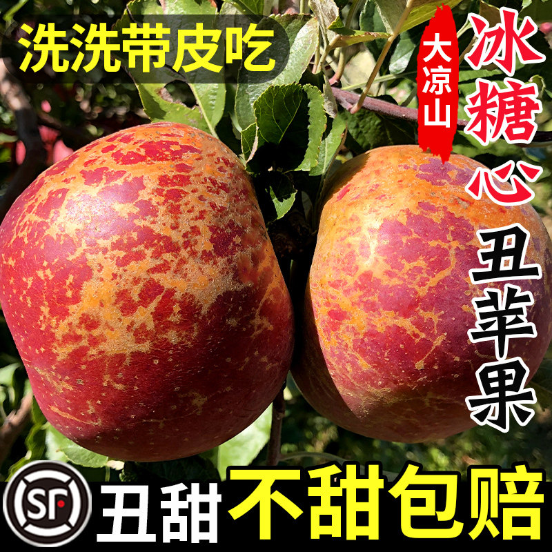 大凉山丑苹果冰糖心苹果新鲜水果当季整箱年货四川盐源红富士萍果