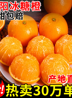 正宗湖南麻阳冰糖橙子新鲜水果当季整箱橙子果冻甜橙纯甜手剥包邮
