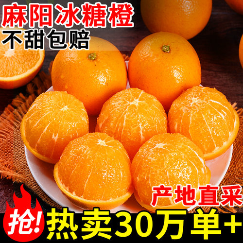 正宗纯甜麻阳冰糖橙丨一口爆汁