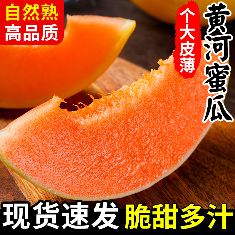 热销正宗黄河蜜瓜脆甜如蜜