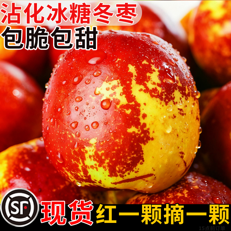 【不红不摘】正宗沾化冬枣