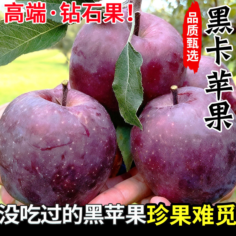 甘肃黑卡苹果正宗黑钻苹果当季新鲜水果整箱应季丑苹果纯甜冰糖心