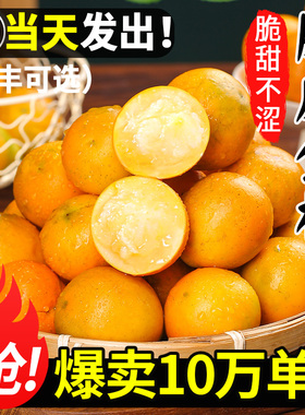 广西融安脆皮金桔鲜果10小金橘子斤应当季新鲜水果蜜金柑整箱包邮