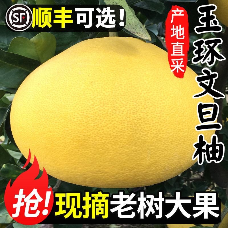 正宗玉环文旦柚子新鲜水果10斤当季现摘老树蜜柚浙江楚门整箱包邮