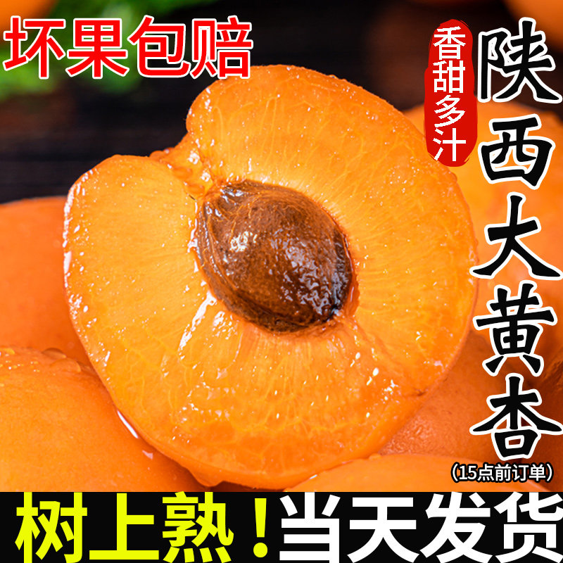 杏子现摘陕西大黄杏太阳水果新鲜整箱时令酸甜包邮杏斤凯特孕妇10