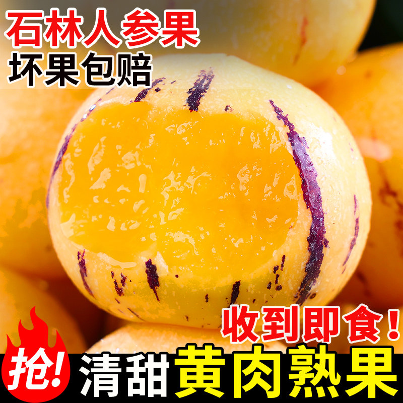 云南石林人参果丨黄肉到货即食