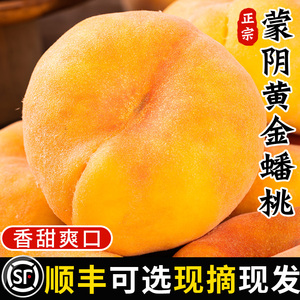 现摘黄金蟠桃5斤特大果