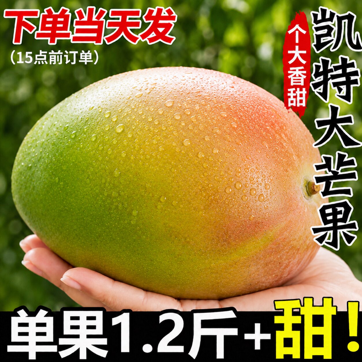四川攀枝花凯特芒果新鲜应季水果澳芒青整箱包邮特大青果当季10斤 - 实物图