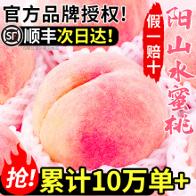 正宗阳山水蜜桃5礼盒无锡湖景桃子水果新鲜当季整箱斤官方旗舰店