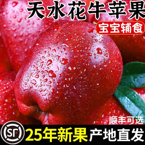 甘肃天水花牛苹果整箱