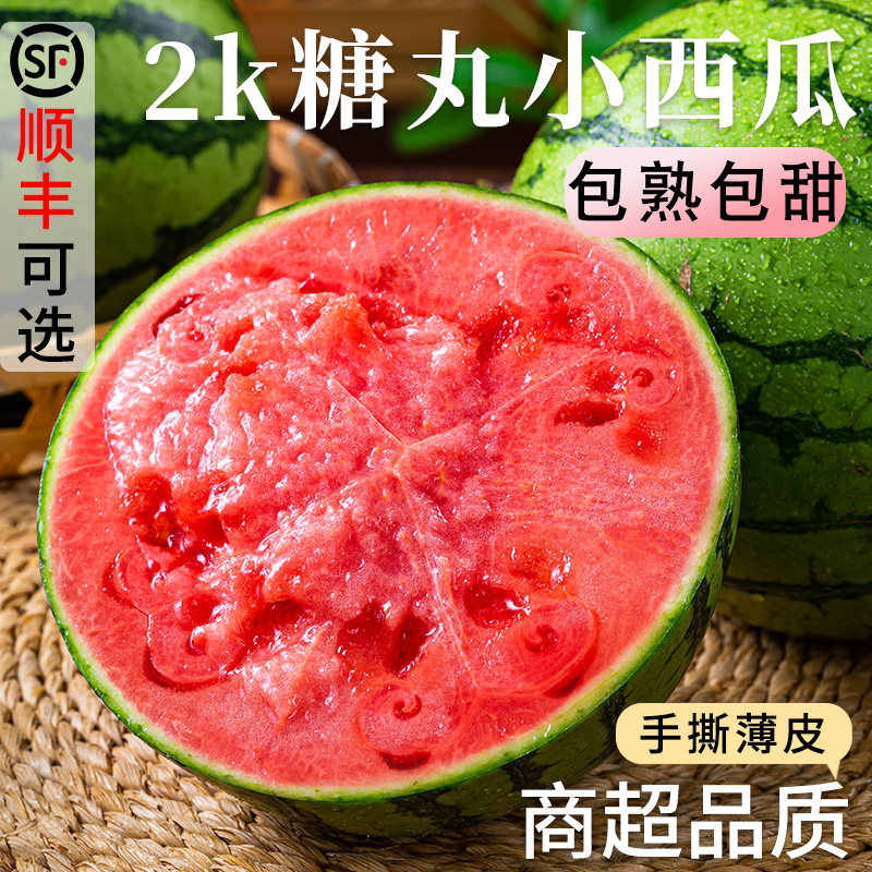 【热卖推荐】正宗2K小糖丸西瓜