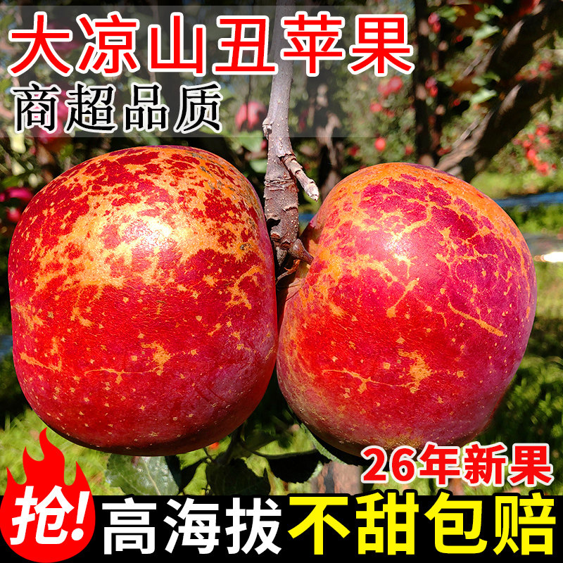 大凉山丑苹果丨脆甜多汁