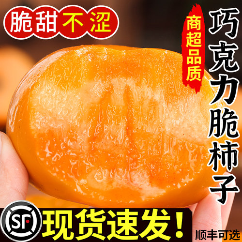 现货速发丨巧克力脆柿丨好吃不涩
