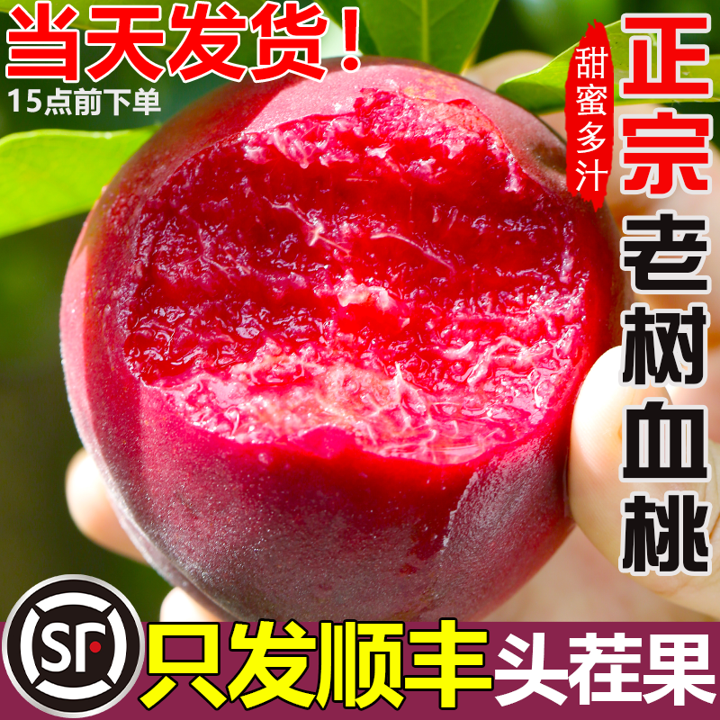 顺丰正宗老树血桃新鲜桃子5斤脆甜红肉头茬现摘红心农家水密毛桃