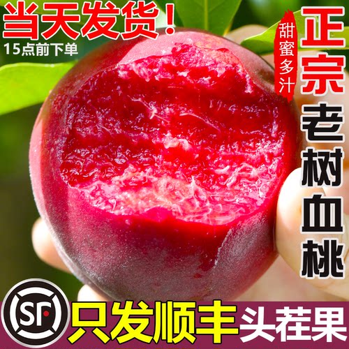 【顺丰包邮】头茬血桃新鲜现摘