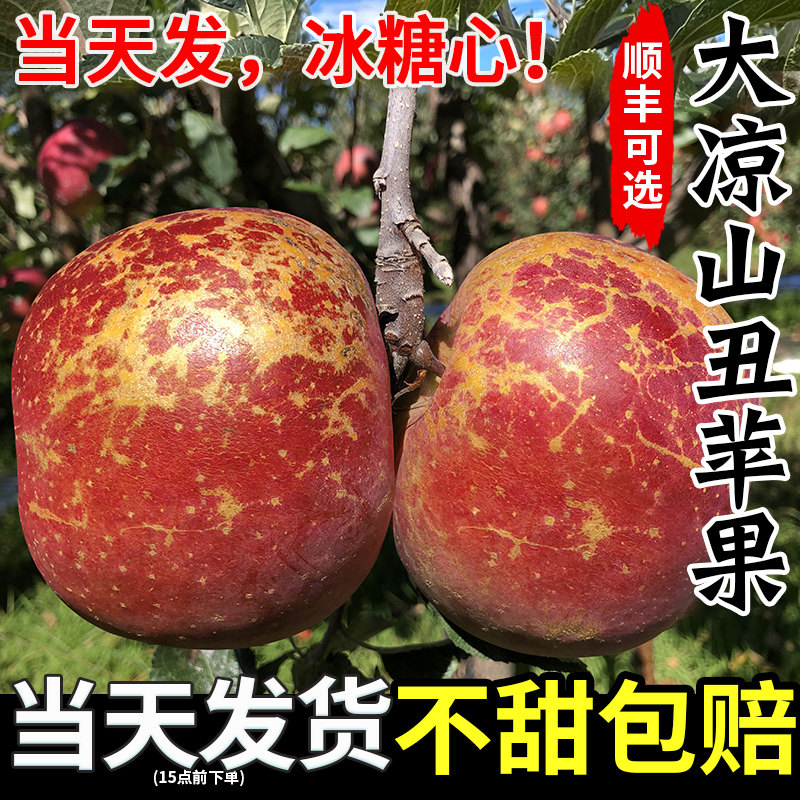 2026新鲜大凉山丑苹果冰糖心苹果新鲜水果当季圣诞平安果红富士,水产肉类/新鲜蔬果/熟食,苹果,淘宝优惠券,粉丝福利购,淘宝优惠卷
