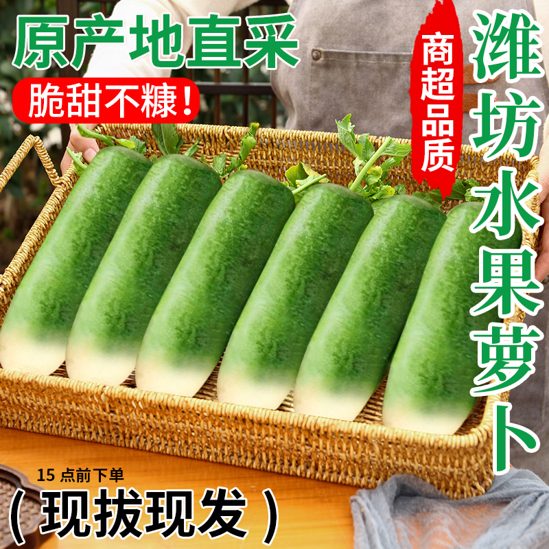 正宗潍坊水果萝卜生吃脆甜爽口