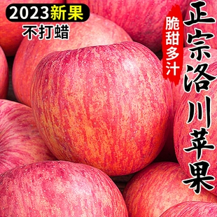 包邮 正宗陕西延安洛川苹果水果新鲜当季 整箱红富士脆甜果10斤平果