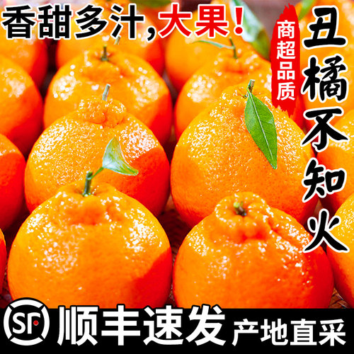 四川不知火丑橘水果新鲜10当季整箱桔子耙耙粑粑丑柑橘子包邮斤-封面