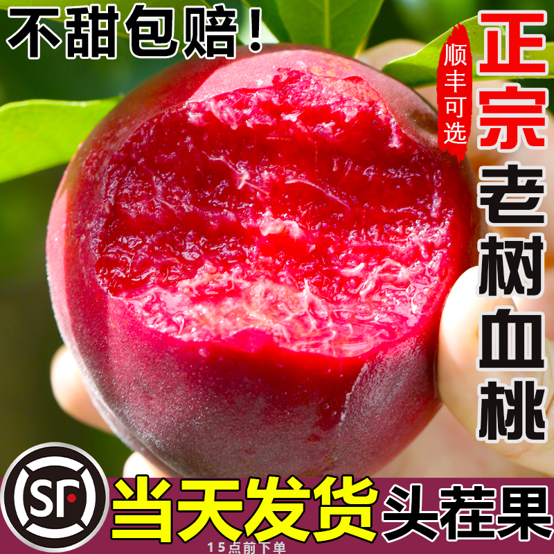 正宗老树血桃新鲜桃子5斤脆甜红肉当季头茬现摘红心农家水密毛桃
