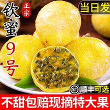 广西钦蜜9号黄金百香果新鲜水果当季整箱百香果包邮大原果浆甜9斤