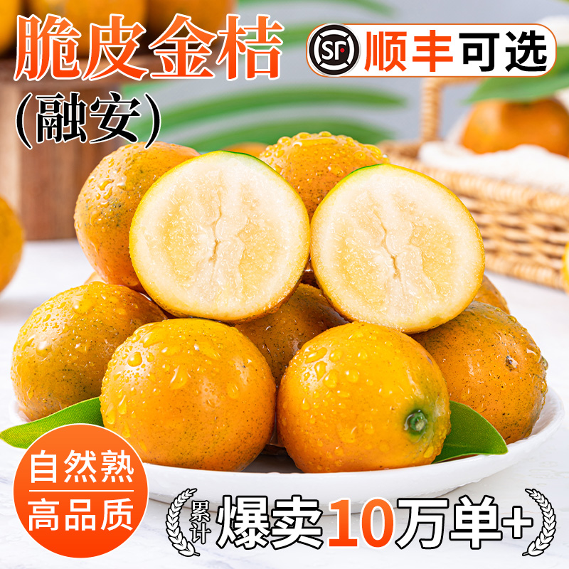 广西融安脆皮金桔鲜果10小金橘子新鲜水果斤应当季蜜金柑整箱包邮