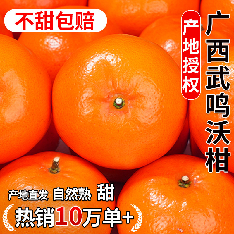 正宗广西武鸣沃柑橘子新鲜水果年货礼盒现摘斤沙糖蜜橘砂糖大果10