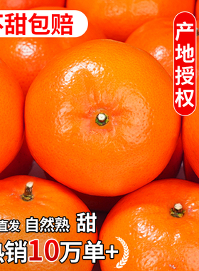 正宗广西武鸣沃柑橘子新鲜水果年货礼盒现摘斤沙糖蜜橘砂糖大果10