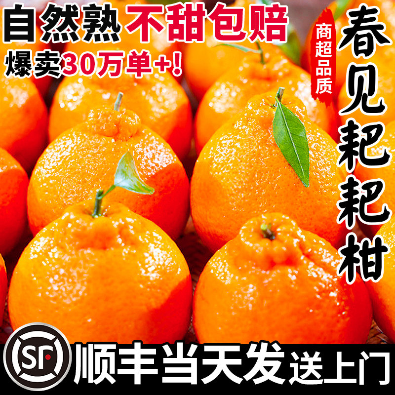 四川春见耙耙柑粑粑柑杷杷柑新鲜水果整箱当季丑桔橘子官方旗舰店