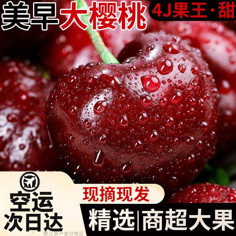 山东美早樱桃当季新鲜水果国产车厘子脆甜多汁孕妇大樱桃京东速发