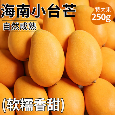 【新鲜现摘】精品海南小台芒