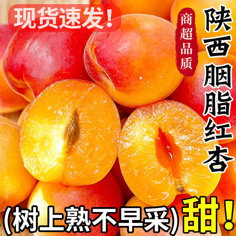 陕西胭脂红杏新鲜水果当季现摘甜贵妃杏青杏子孕妇酸黄杏整箱包邮